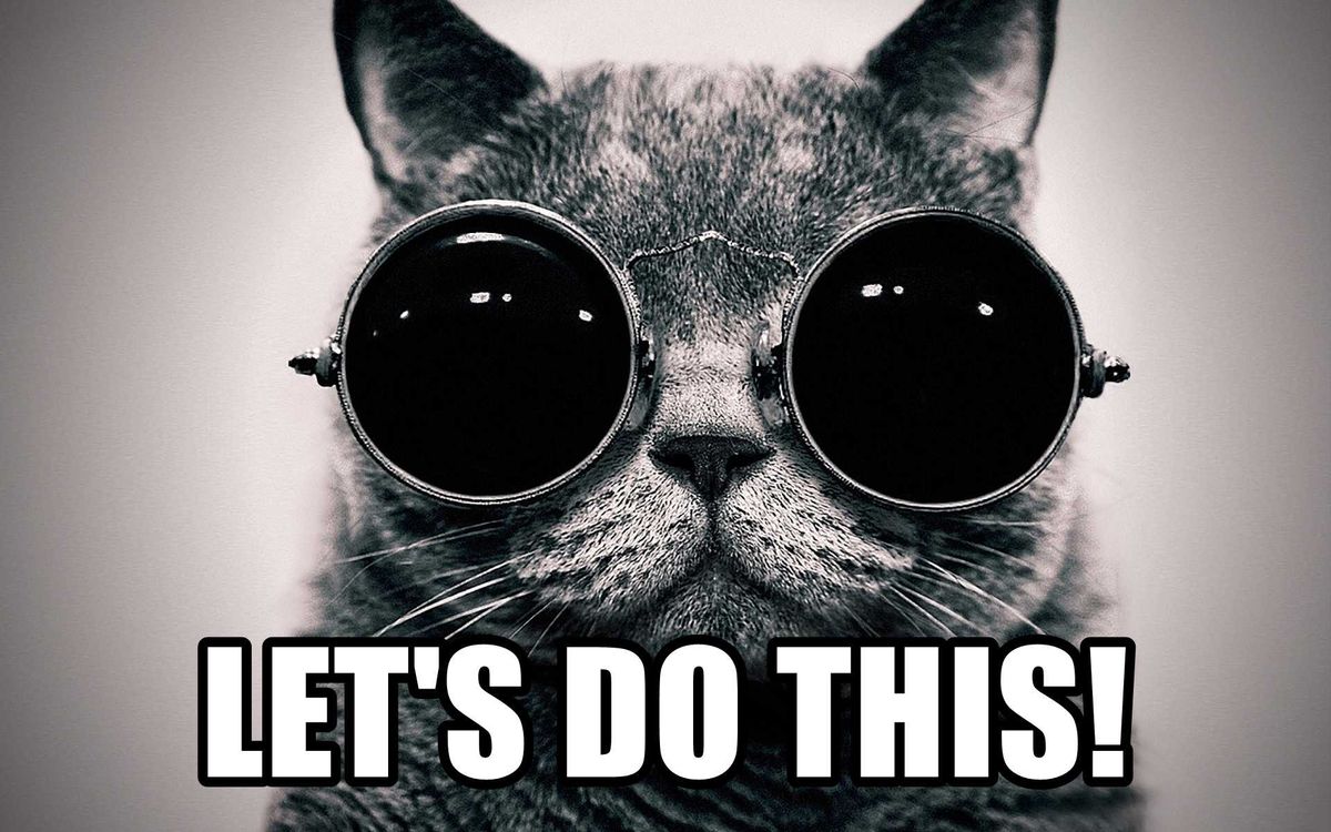 Cat Meme